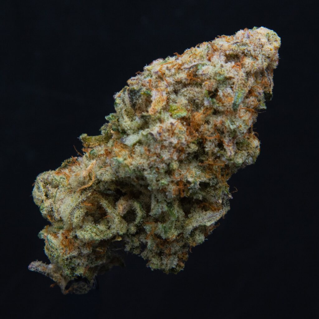 MAC strain