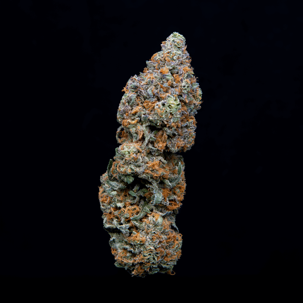 Chocolate Marker weed strain from Upstate Elevator
