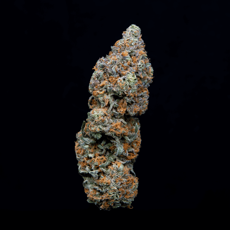 Chocolate Marker weed strain from Upstate Elevator