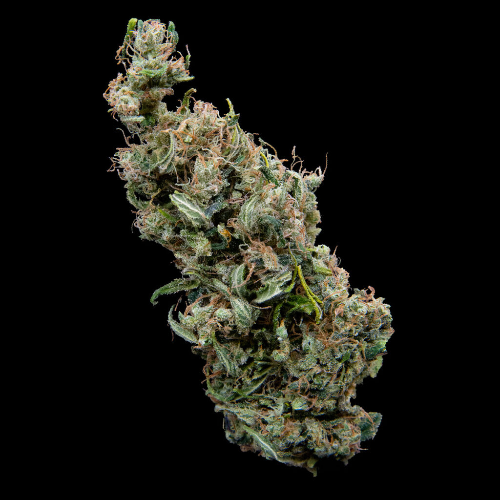 Oaxaca Jawaka